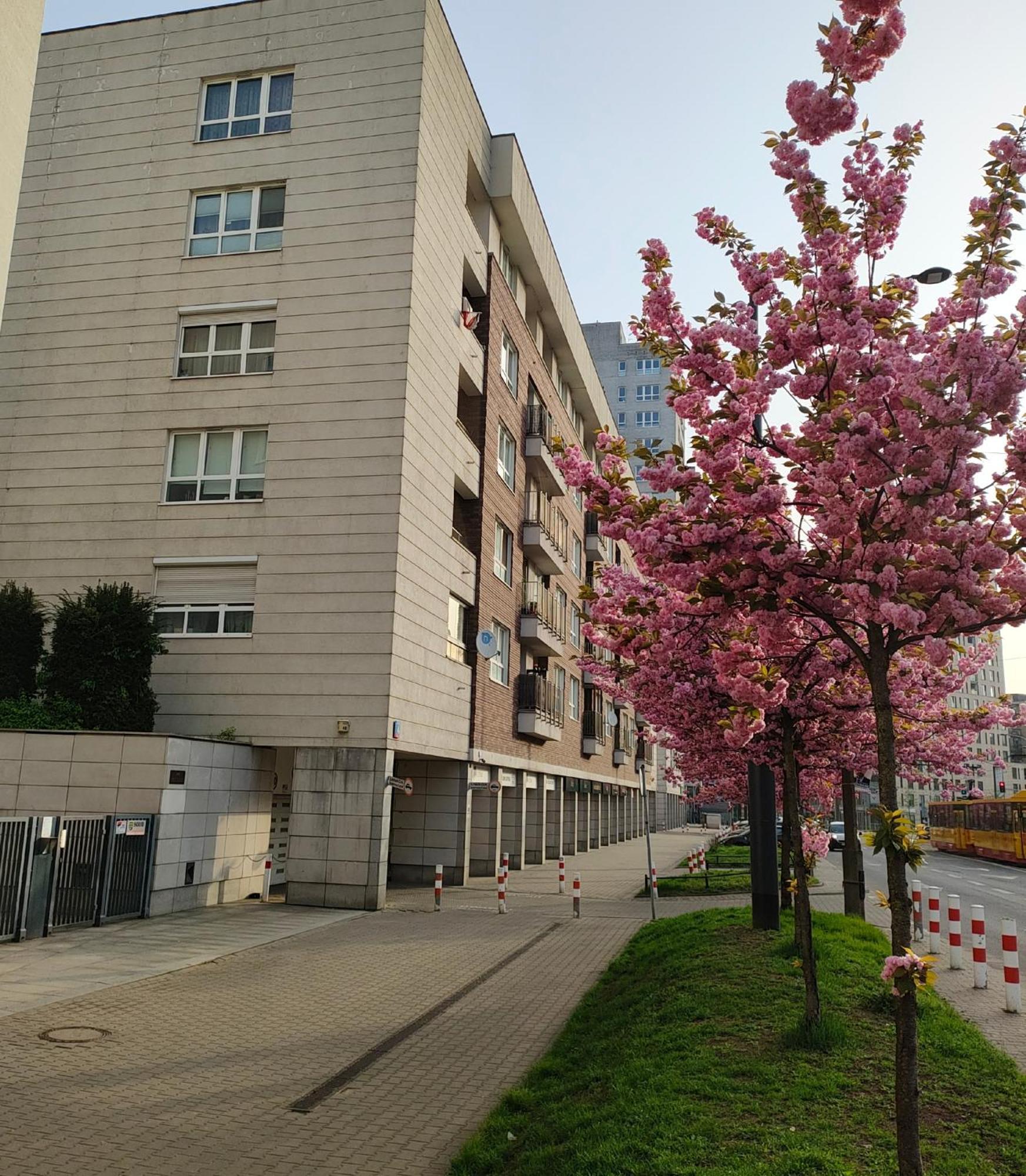 Totutotam_02 Apartment Varşovia Exterior foto